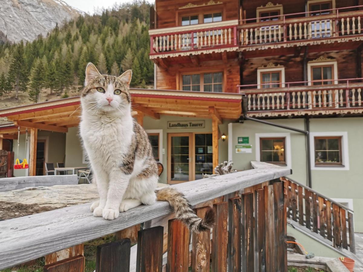 Landhaus Taurer Kals-am Großglockner Dış mekan fotoğraf