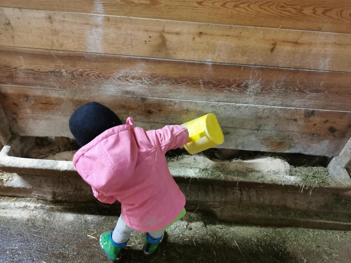 Landhaus Taurer Kals-am Großglockner Dış mekan fotoğraf