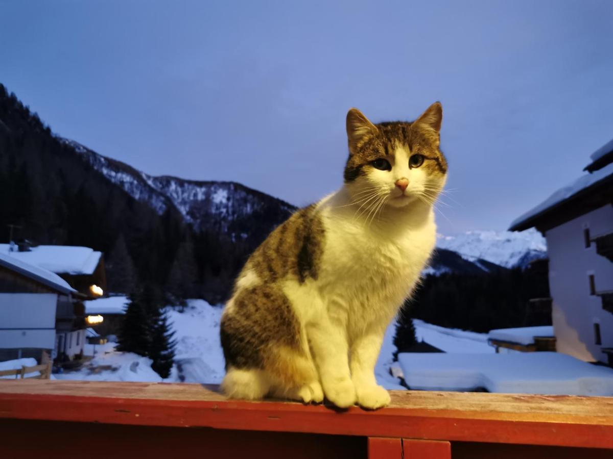 Landhaus Taurer Kals-am Großglockner Dış mekan fotoğraf